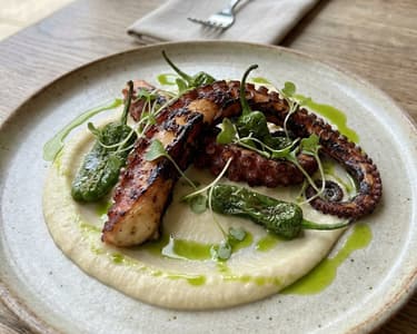 Grilled Octopus with Cauliflower Puree and Padrón Peppers