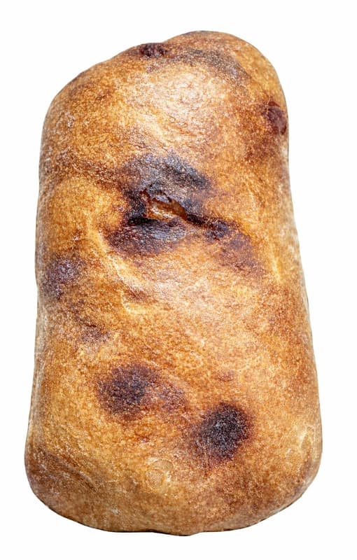 Le Brot Ciabatta