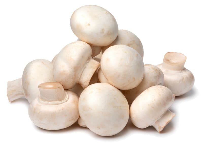 Champignons Weiß, XXL-Schale