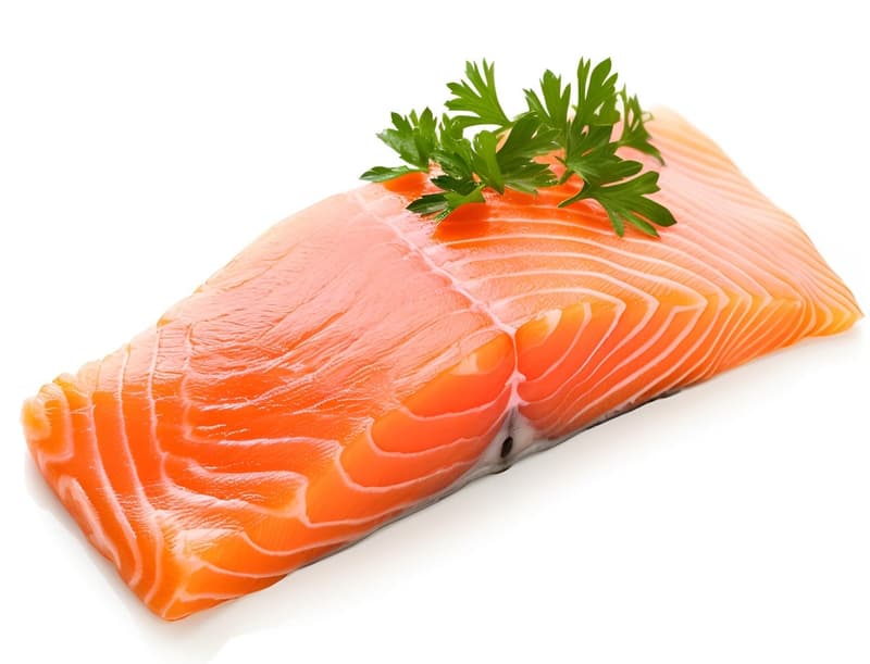 Salmon filet with Skin