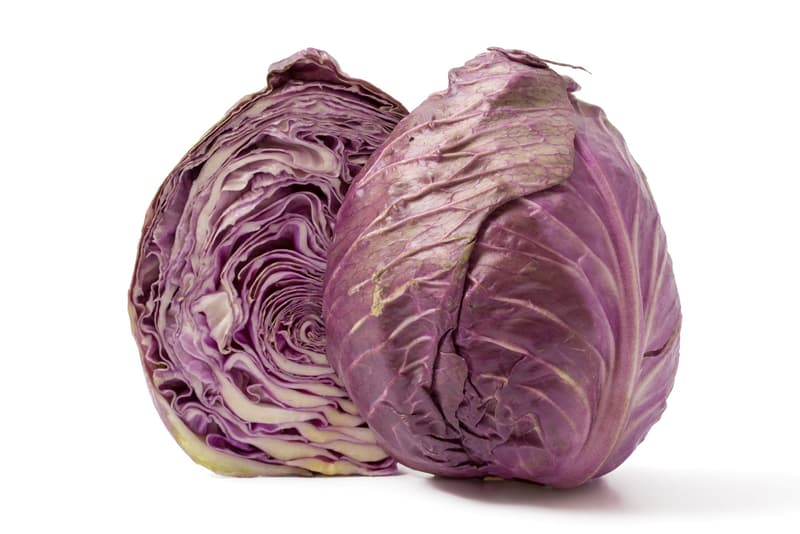 Reinheimer's Spitzkohl lila, 1 Stk.
