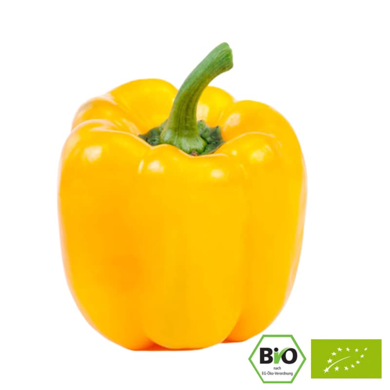 BIO Paprika Gelb, 1 Stk.