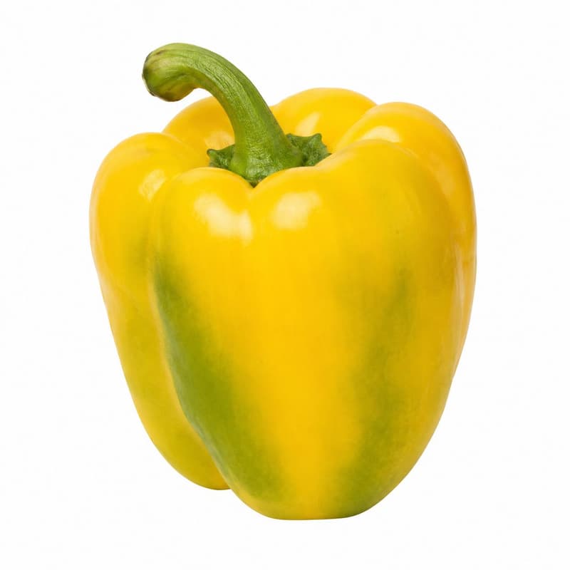 BIO Paprika Gelb, 1 Stk.