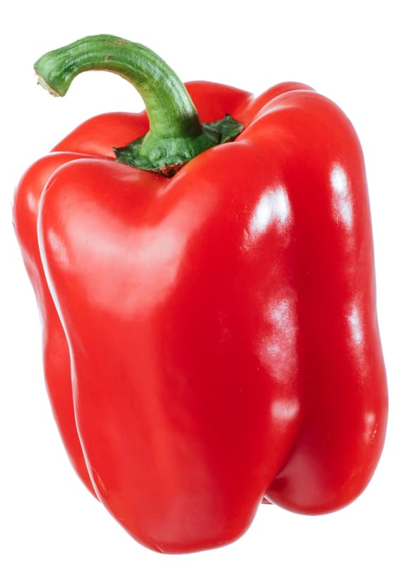 BIO Paprika Rot, 1 Stk.