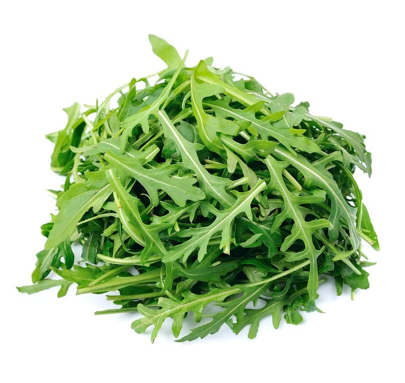 Rucola, Schale