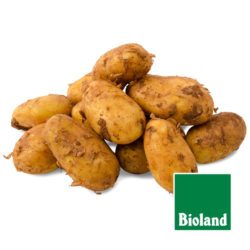 BIO Kartoffeln festkochend, Netz