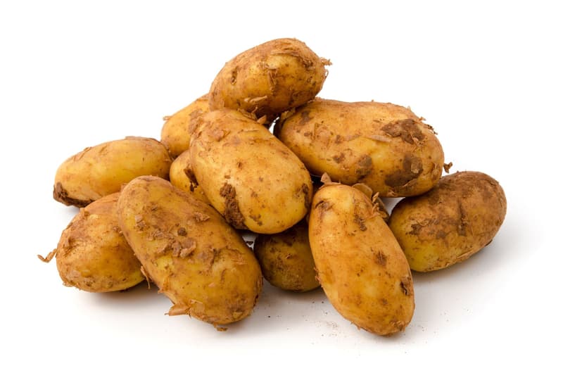BIO Kartoffeln festkochend, Netz