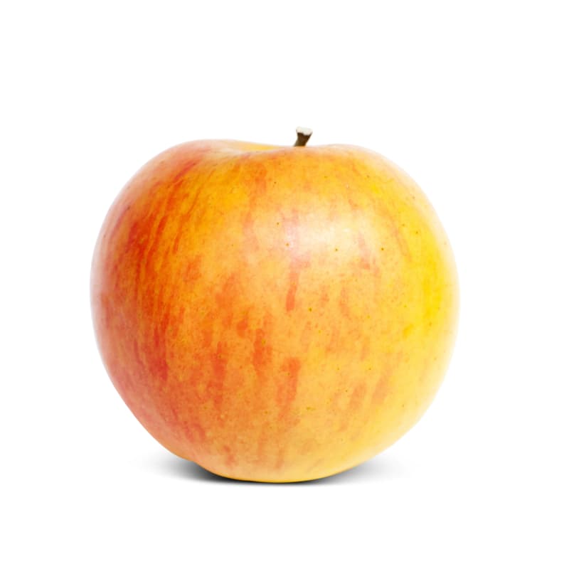 BIO Apfel Gala rot, 1 Stk.