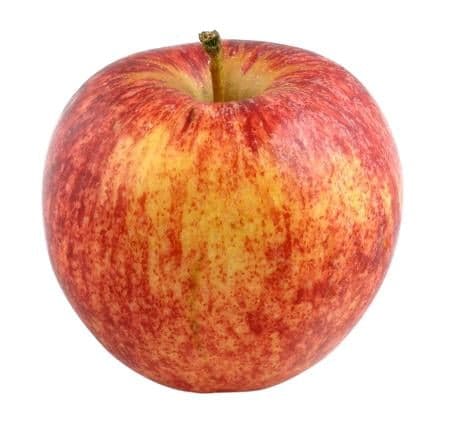 BIO Apfel Gala rot, 1 Stk.