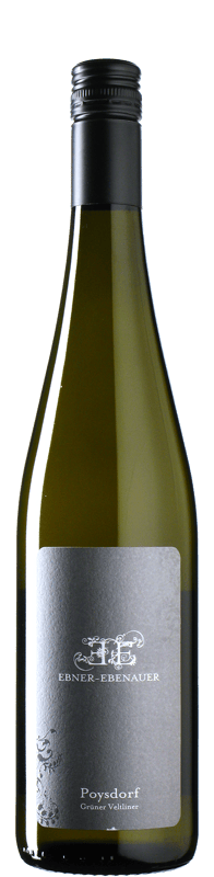 Ebner-Ebenauer - Grüner Veltliner Poysdorf 2024 *bio