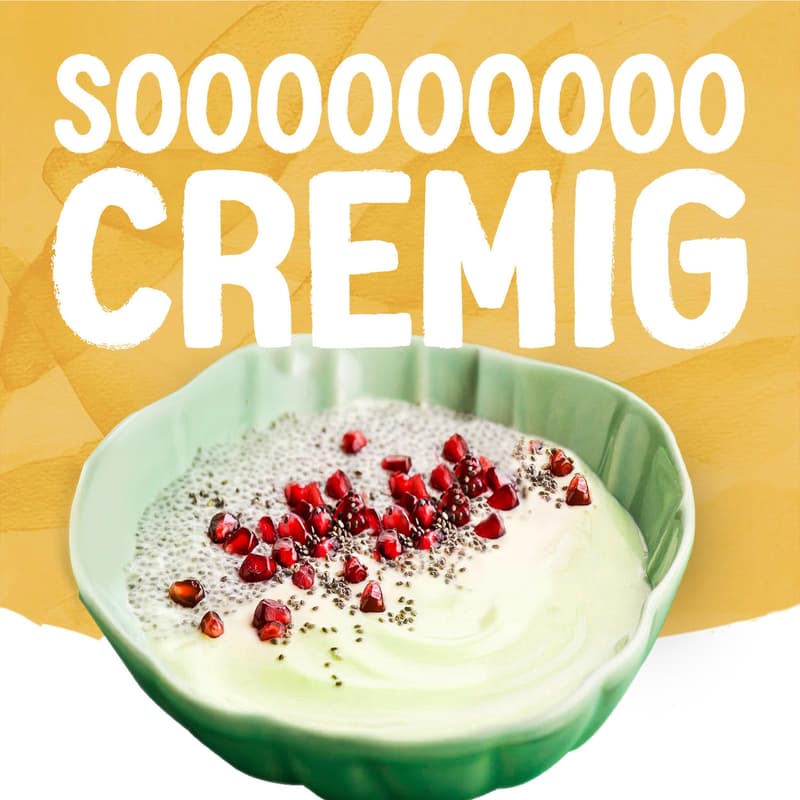 Alpro Yogurt Alternative with Soy Base, Oat+ Natural