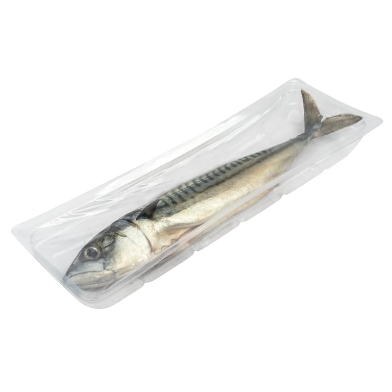 Whole mackerel