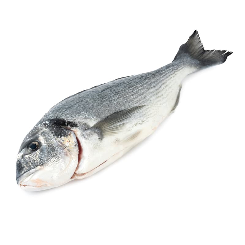 FJORU ORGANIC sea bream/gilthead bream whole