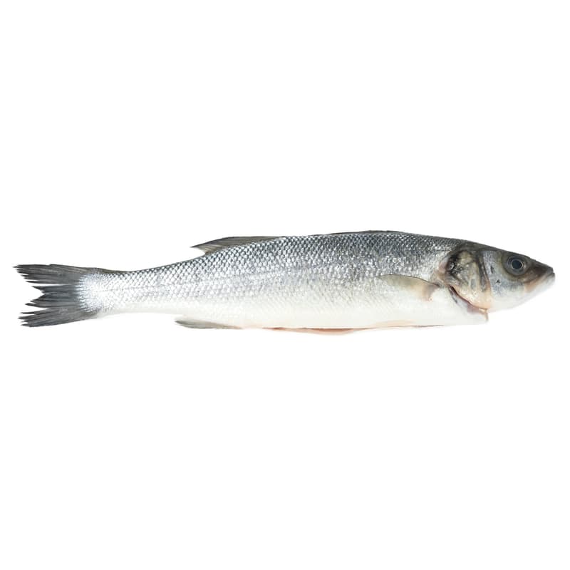 FJORU ORGANIC Whole Sea Bass