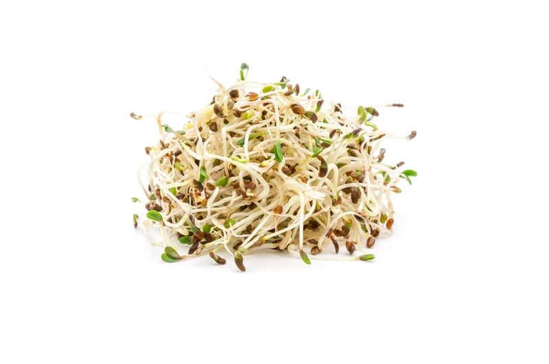 Berliner BIO Alfalfasprossen, Schale