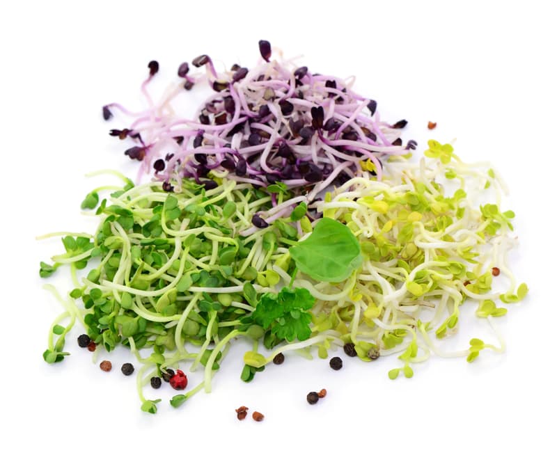 Berliner BIO Sommersprossen, Schale