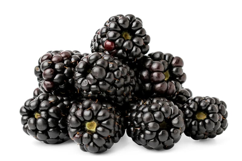 Brombeeren, Schale