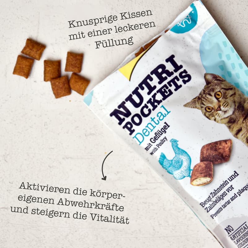 GimCat Nutri Pockets Dental 60 g