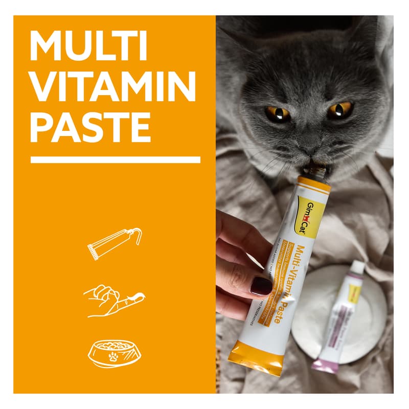 GimCat Multi-Vitamin Paste 50g