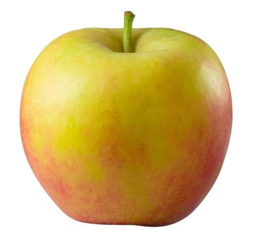 Brandenburger Apfel Elstar, 1 Stk.