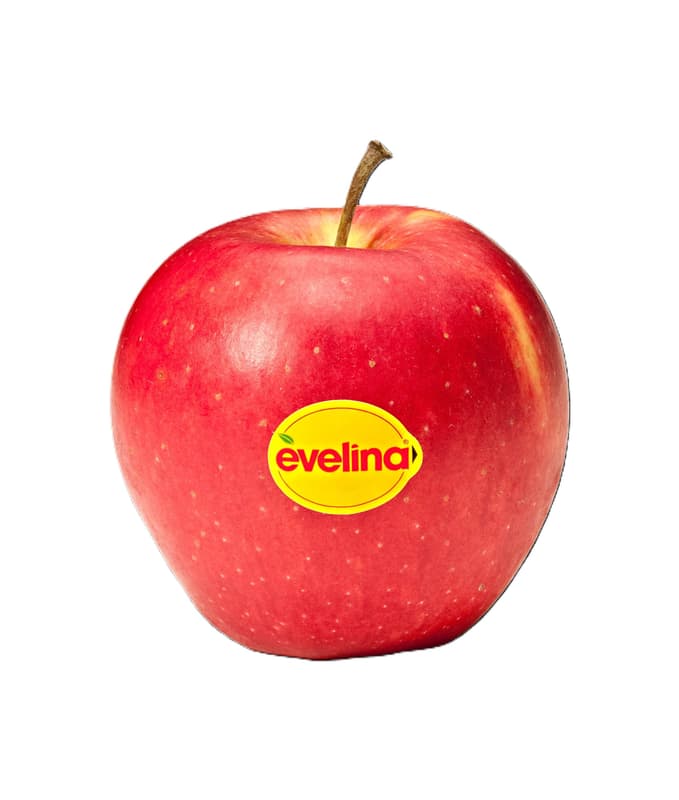 Brandenburger Apfel Evelina®, Schale