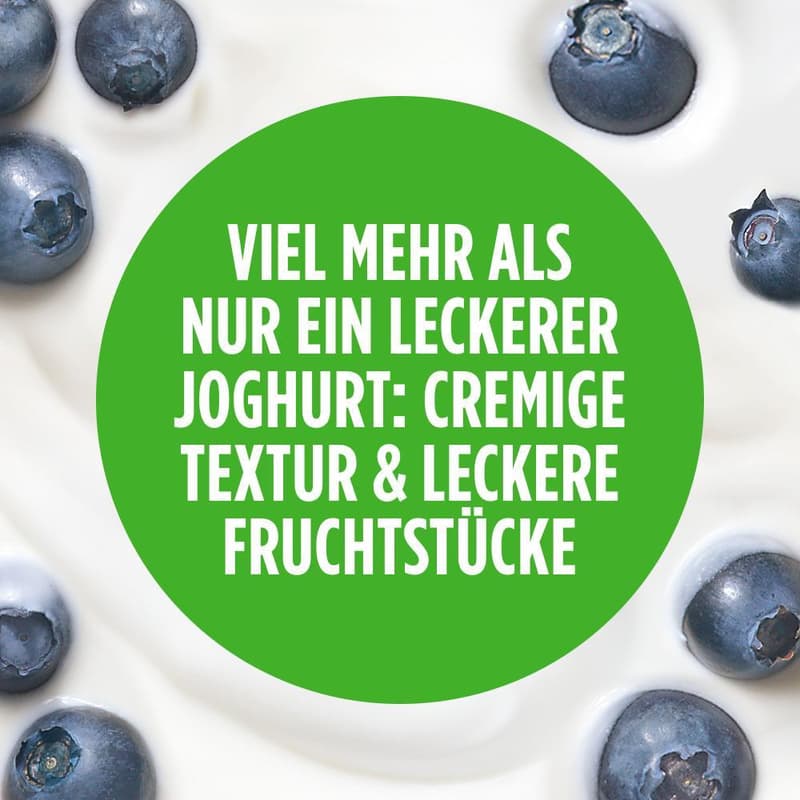 Activia Blueberry