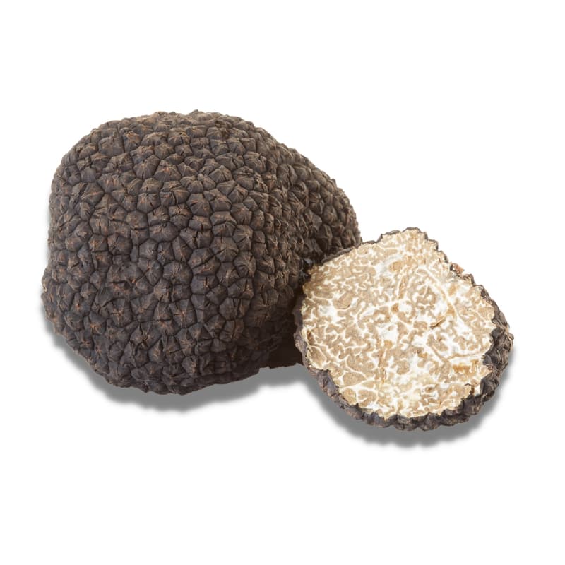 Herbsttrüffel *Tuber Uncinatum*