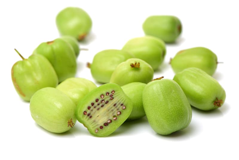 Kiwibeeren, Schale