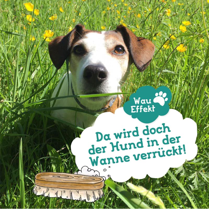 Glückstier Dog Shampoo