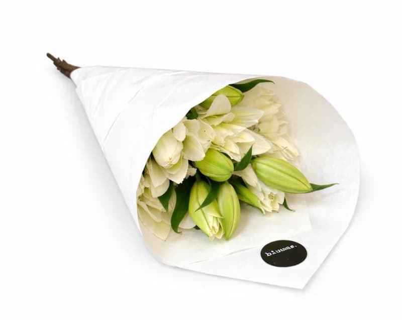 bluums. Lilies white
