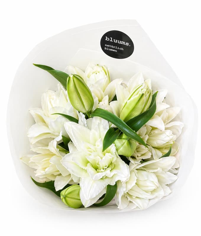bluums. Lilies white