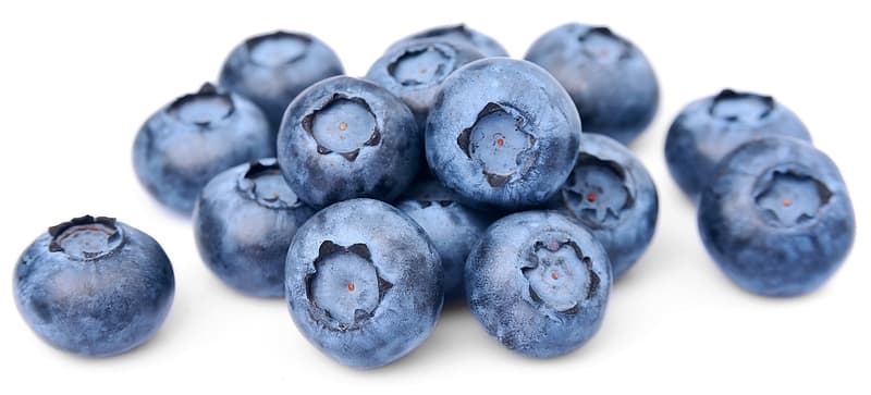 Heidelbeeren, Schale