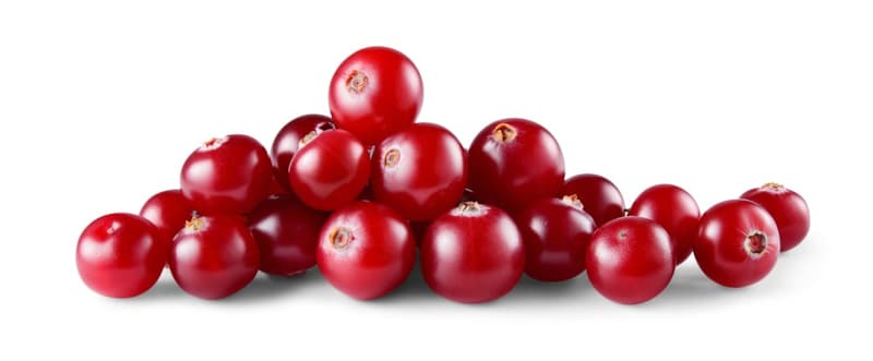 Cranberries, in the bowl