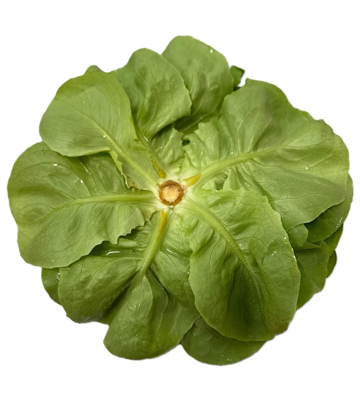Kopfsalat, 1 Stk.
