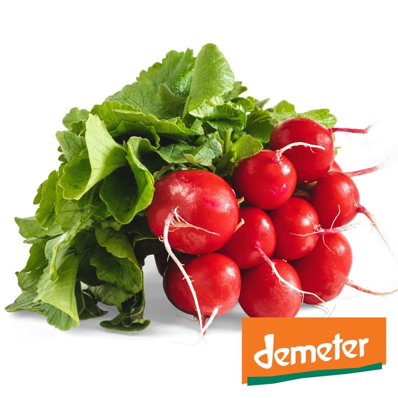 Demeter radishes