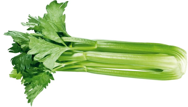 Celery sticks