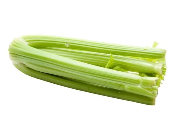 Celery sticks