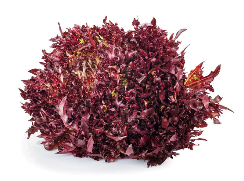 Reinheimer`s Crispy Red