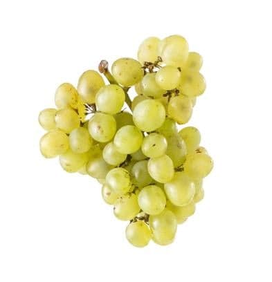 Grapes light *seedless*, in weight