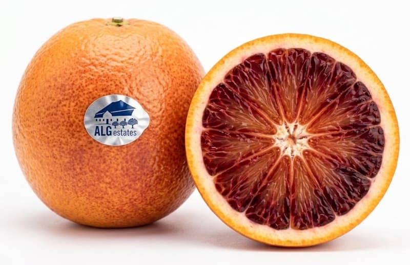 Orangen Tarocco