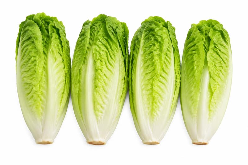 Romana salad hearts 6s