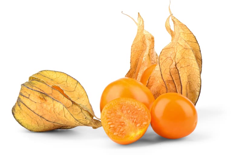 Physalis unpeeled, in the skin
