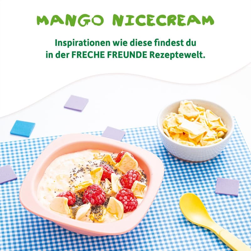 Freche Freunde BIO Mango Fruchtchips