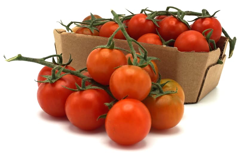 BIO date cherry tomatoes, in the skin