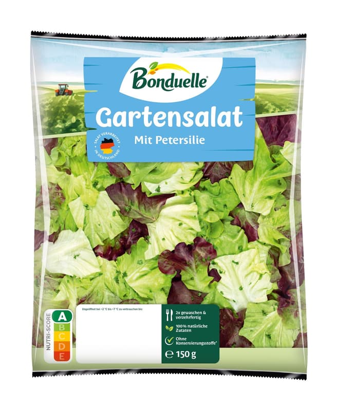 Garden Lettuce