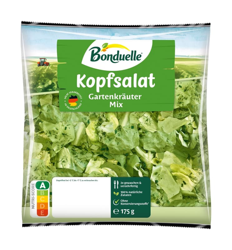 Kopfsalat mit Gartenkräutern