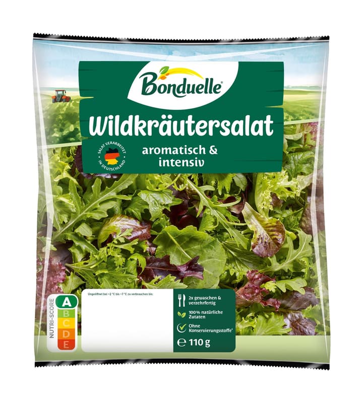 Wildkräuter Salat