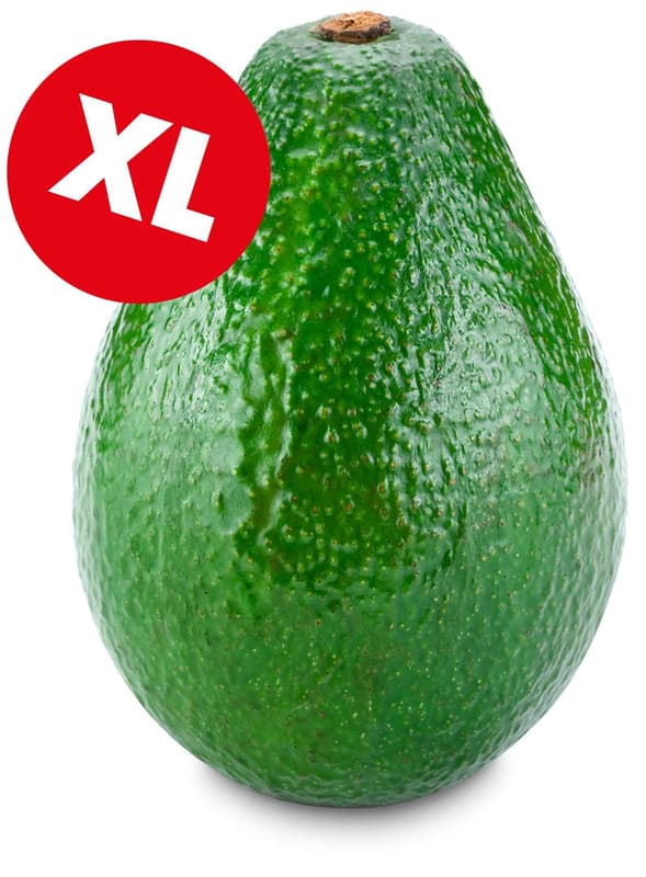 XXL Avozzila, 1 Stk.