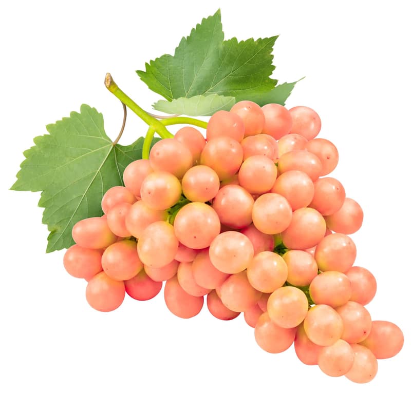 BIO Trauben rot kernlos, 1 Schale