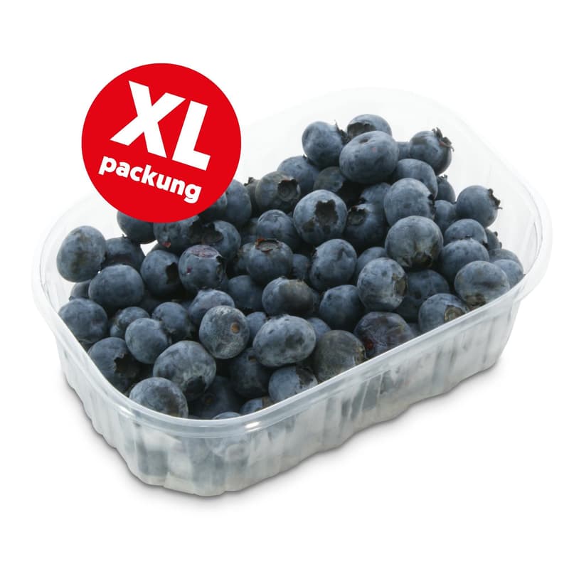 Heidelbeeren, Schale